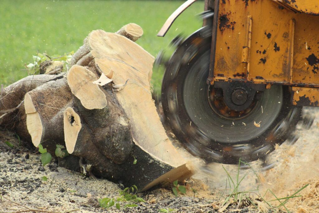 Stump Grinding Services